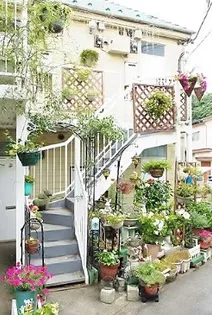 神奈川県川崎市多摩区枡形5【アパート】の外観