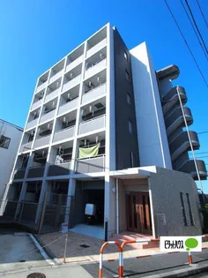 プラシードの画像