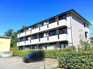 ソレーユの画像