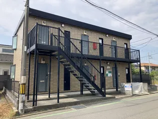 アムール初雁の画像