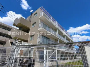 サンライズ桜の画像