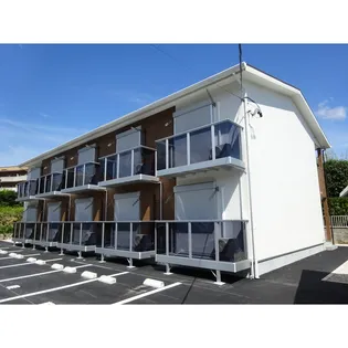 NOTTE STELLATAの画像