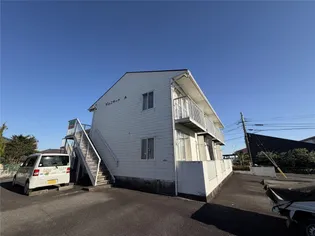 ジュニヤードの画像