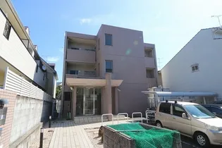 ピュア12の画像