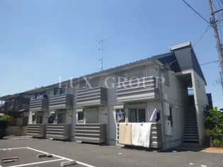 ホワイトミーティアの画像