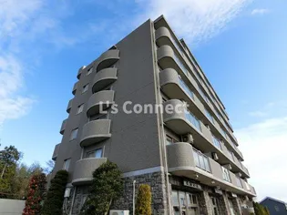 グリシーヌ Sの画像