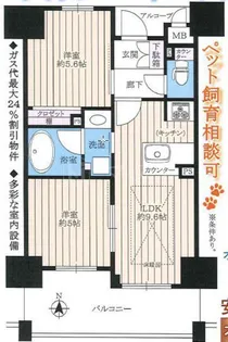 エステムエグゼ心斎橋【14階】の間取り