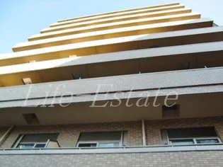 ドミール谷町【8階】の外観