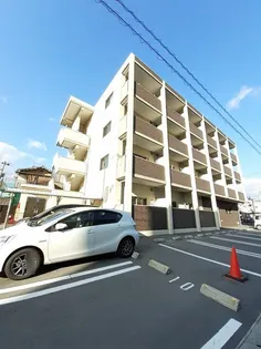 ALIVE HOUSEの画像