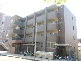 マリベールARASHICの画像