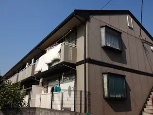 フラット サンフラワーの画像