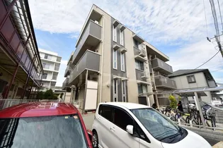 パラディーゾの画像