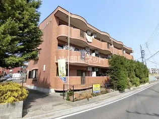 サウスヒルズ A B棟の画像