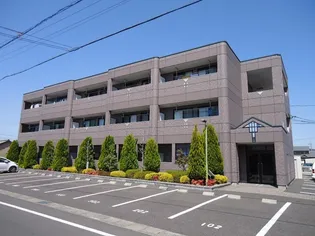 ベルグラース Tの画像