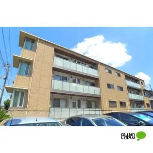 メルヴィーユの画像