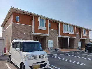 グレイスBの画像