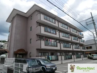 サングレイスの画像