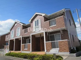 ツイン パディーBの画像