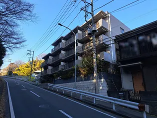 ハイブリッヂPAOの画像