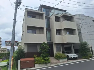 THE IVYの画像