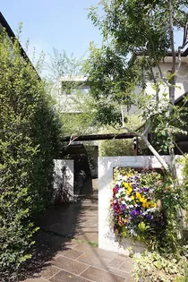GASSE VON YONOの画像