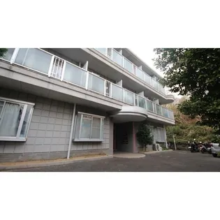 ビーナスムーンの画像