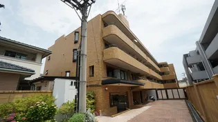 朝日プラザ五橋東の画像