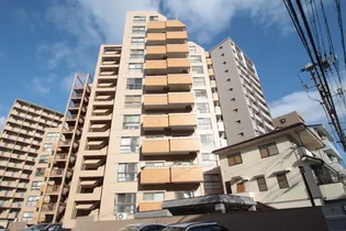 ダイアパレス土橋【8階】の外観