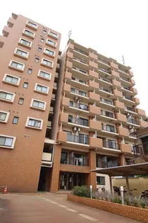 ダイアパレス小松【9階】の外観