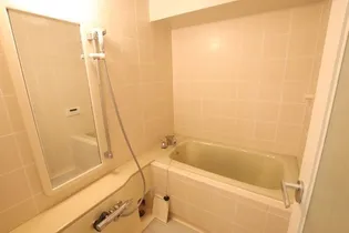 ダイアパレス小松【9階】の風呂