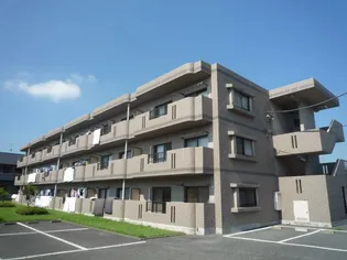 ユーミーブライトの画像