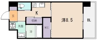 PHOENIX Clove Tomoi【4階】の間取り