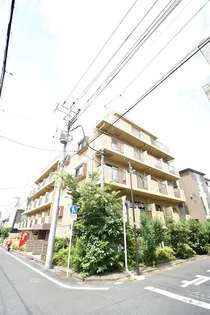 アイランド中野の画像