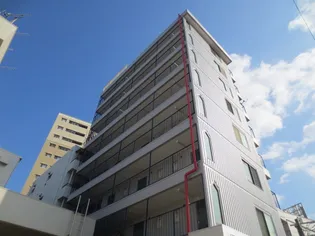 ステラ21の画像