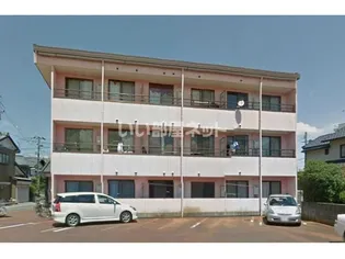 アネックス ティの画像