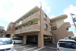 ドゥプラスの画像