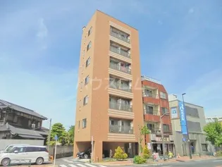 コスモポリタンの画像