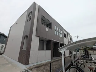 パームツリーの画像