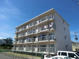 リバーサイドハイツ【3階】の外観