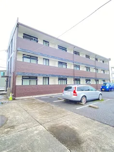 アムールの画像