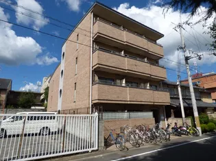 NA SANTA PAZ北山の画像