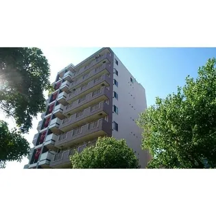 ポールスターの画像