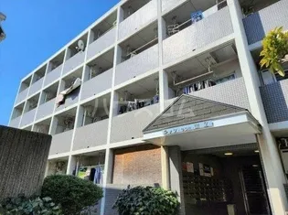 タッシ国立の画像