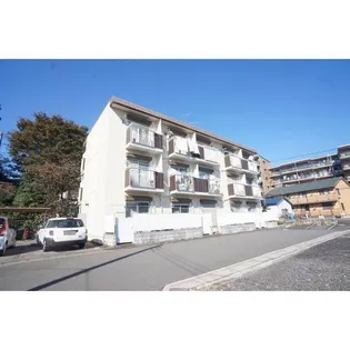 コートIVYの画像