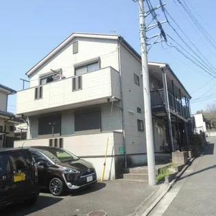 カロンステラの画像