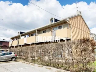 ドルフ石井Aの画像