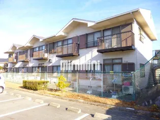 メゾンセラータAOKI【1階】の外観