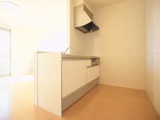 ドルチェコートC【2階】のキッチン