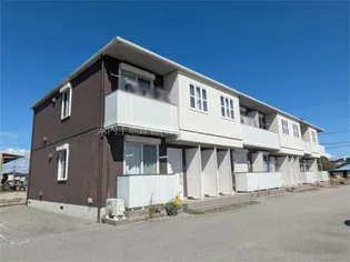 フォセットミディの画像