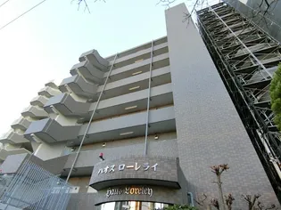 ハオスローレライの画像